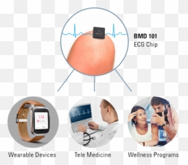 Eeg - Ecg Biosensors Smallest Eeg Sensor Emoji,Emotion Ecg