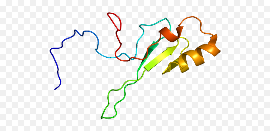 Brain Posts November 2010 - Mecp2 Protein Emoji,Robert Sapolsky At Stanford University Animal Emotions