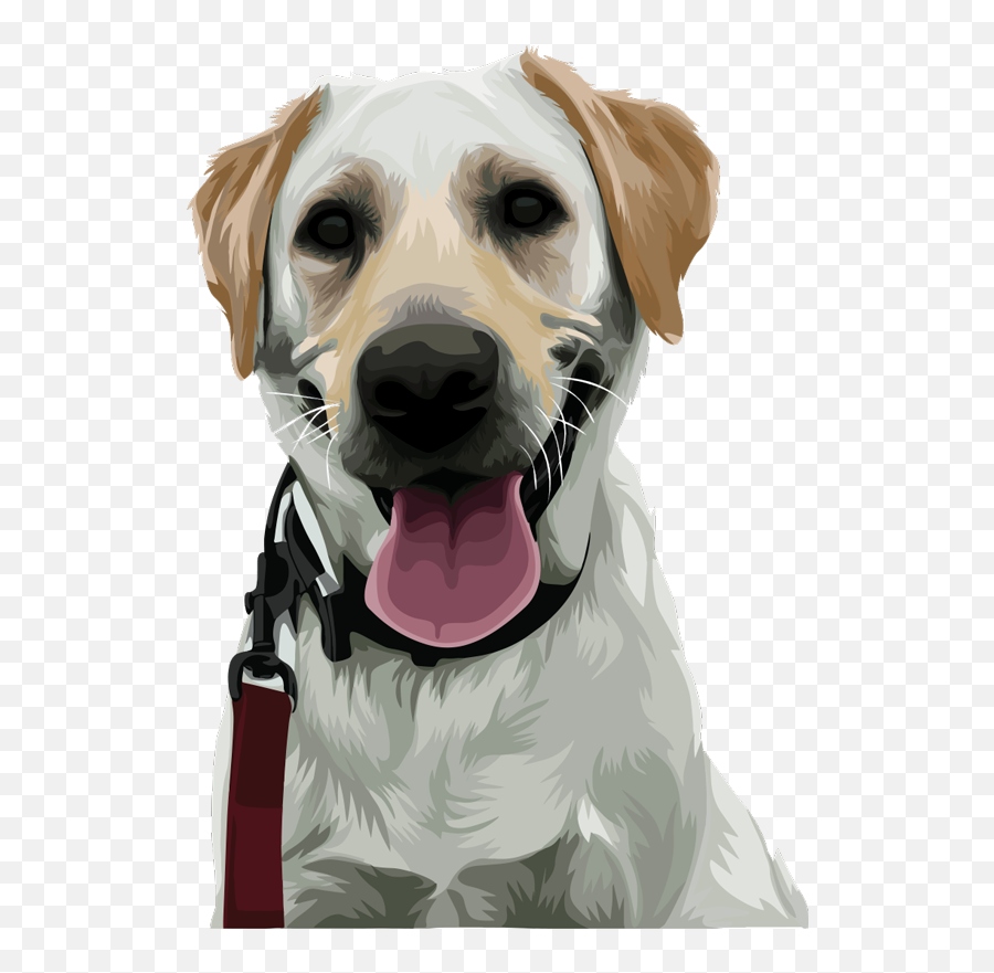 Labrador Vinyl Dog Sticker - Dog Sticker Emoji,Happy Birthday Emoticons With Labrador Retriever
