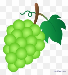 Grapes Grape Clipart Grapeclipart Fruit - Clip Art Of Grapes Emoji,Grape Emoji