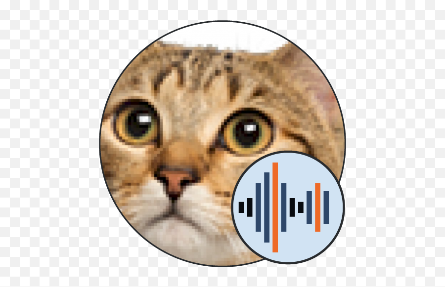 Cat Sounds 101 Soundboards - Lazarbeam Soundboard Emoji,Alley Cat Emotion Mp3