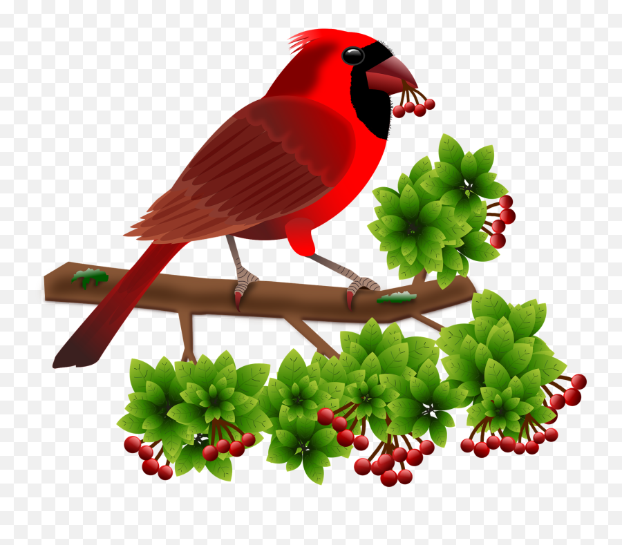Northern Cardinal Our Fine Feathered Friends - Leyenda De Animales Emoji,Bambi Mother Birds Emotion