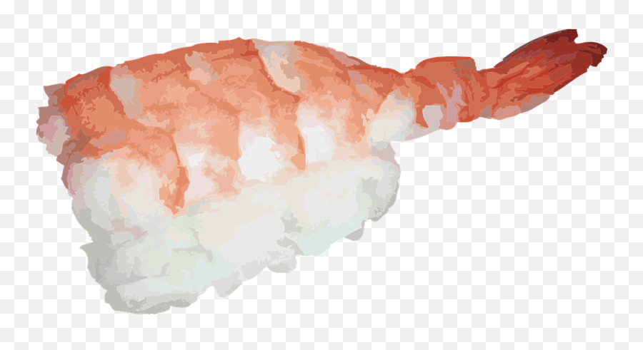 Japanese Sushi Fish Shrimp Asian Raw - Ebi Sushi Png Emoji,Shrimp And Sushi Emotion