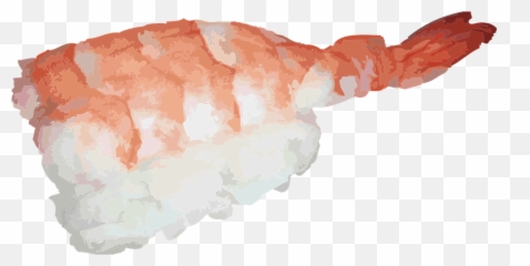 Japanese Sushi Fish Shrimp Asian Raw - Ebi Sushi Png Emoji,Shrimp And Sushi Emotion