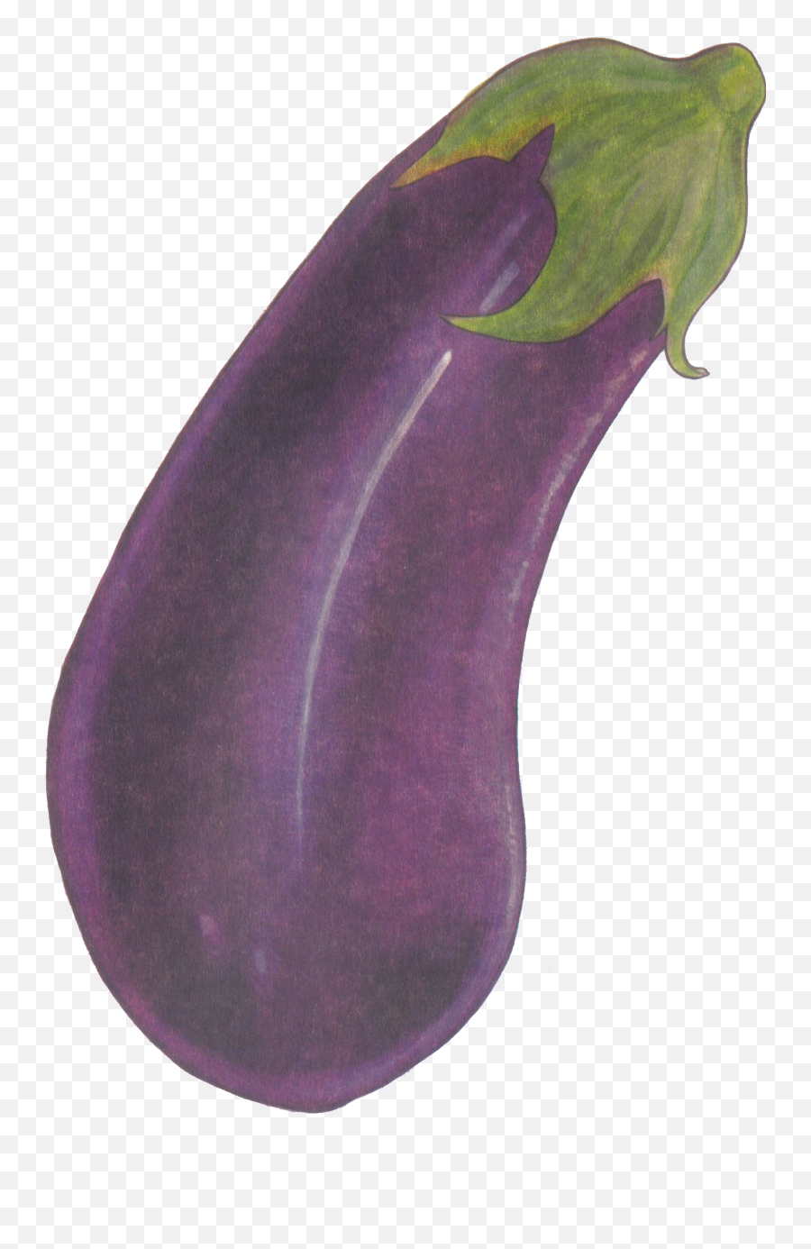 Free Transparent Eggplant Png Download - Eggplant Emoji,Eggplant Emoticon Halloween Costume