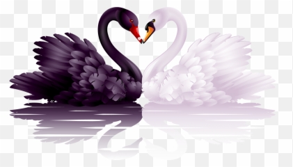 Others Page 65 - Black Swan And White Swan Drawing Emoji,Mei Overwatch Emoticon