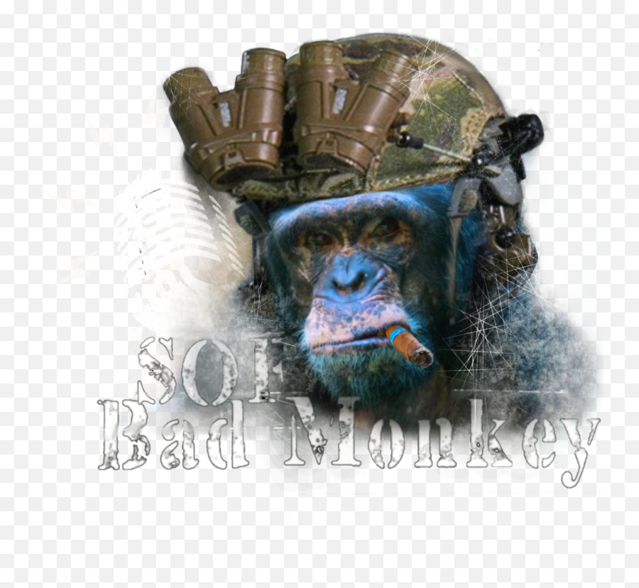 All Secure Sofbadmonkey Emoji,Chimp Emotion Faces