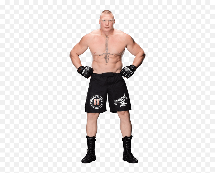 The Best 13 Brock Lesnar Wiki - Beltwaeltur Emoji,Lesnar Emoticon