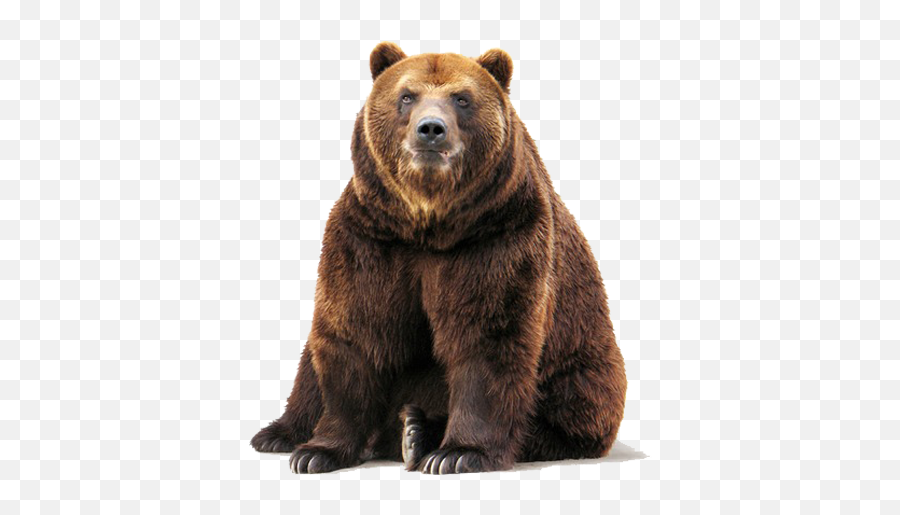 Brown Bear Png Png Mart Emoji,Grizzly Bear Emojis