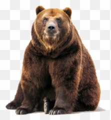 Brown Bear Png Png Mart Emoji,Grizzly Bear Emojis