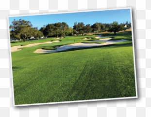 Handle A Member Meeting - Lawn Emoji,Emotion Golf Cart