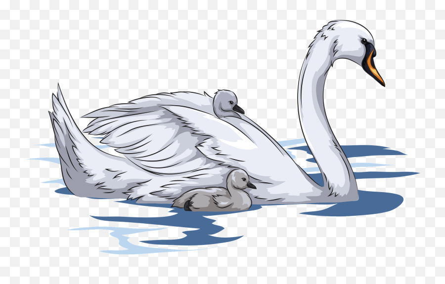 Mute Swan With Cygnets Clipart - Mute Swan Emoji,Is There A Swan Emoji