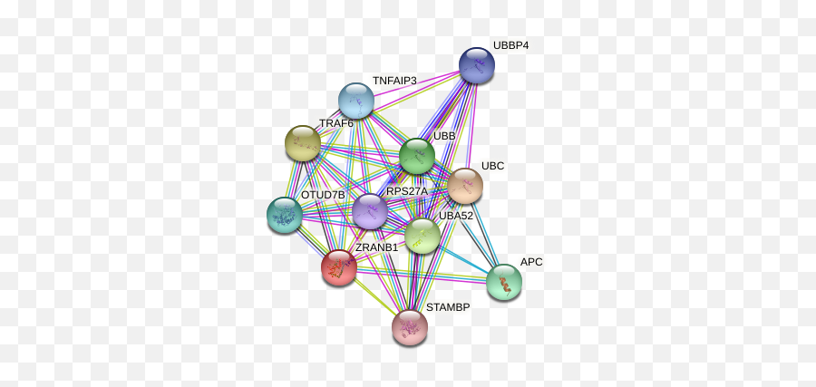 Zranb1 Protein Human - String Interaction Network Dot Emoji,Emotion Code People With Lupus