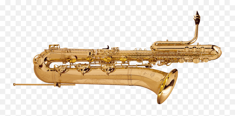 Bass Saxophone Patent Cn101409069a - Horizontal Emoji,Swaying Emotions Saxophone