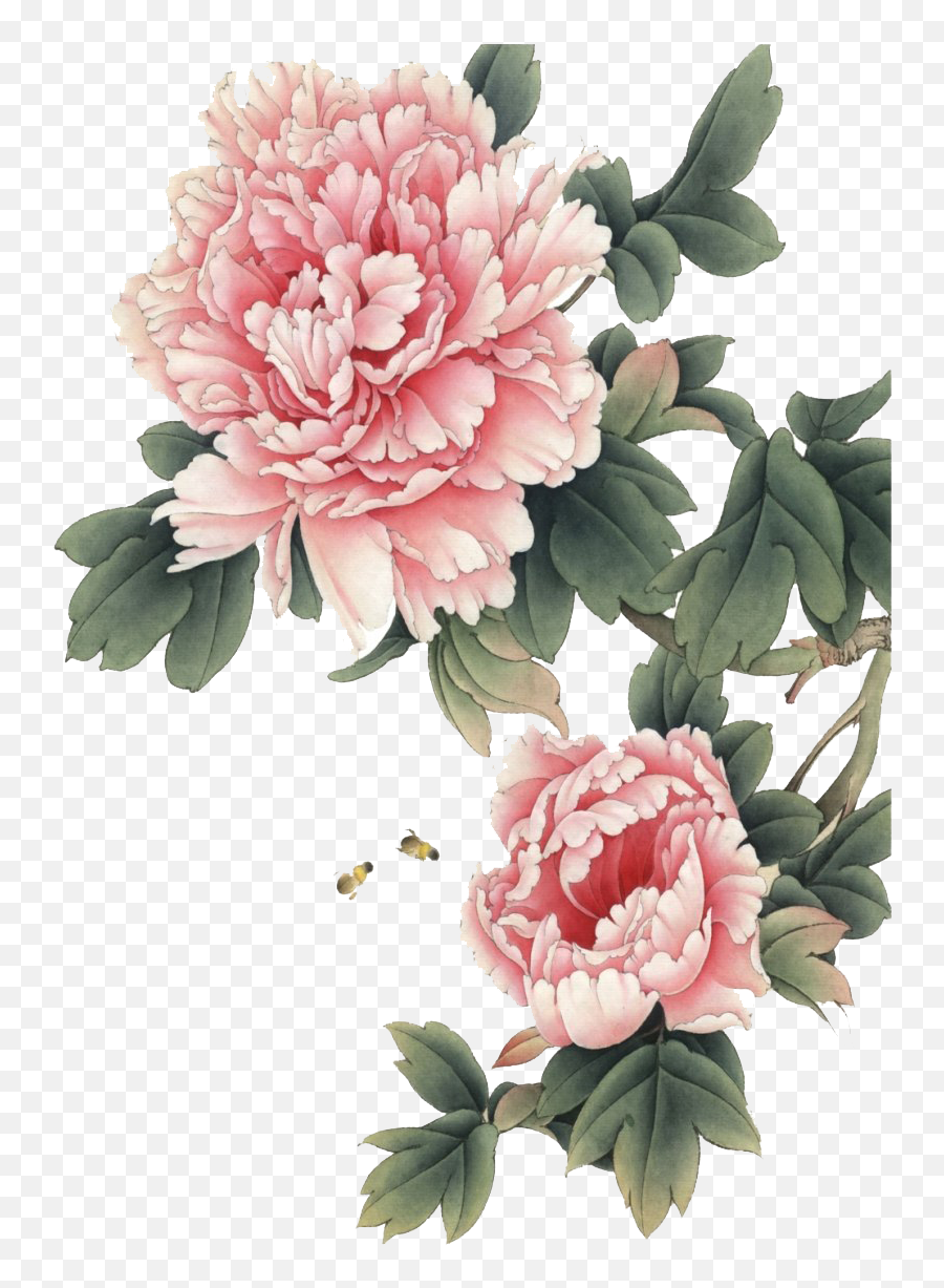 Chinese Flower Transparent Background Png Mart - Transparent Background Peonies Flower Png Emoji,Dogy Emojis With Pink Bachround