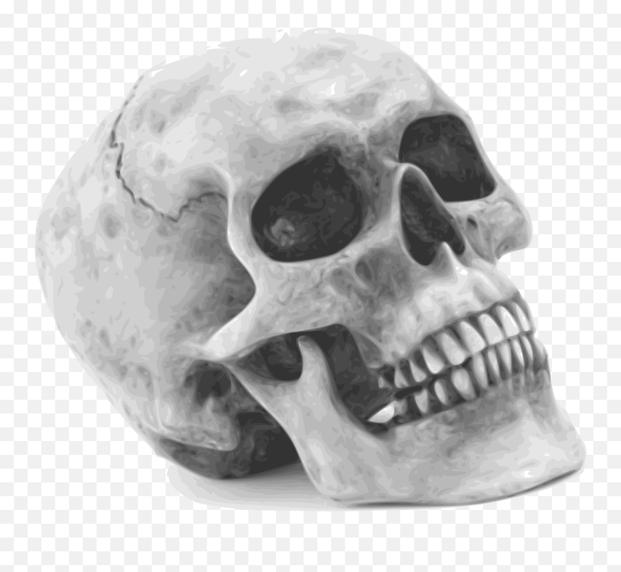 Skull - Skull Photo White Background Emoji,Emotions Of A Skull