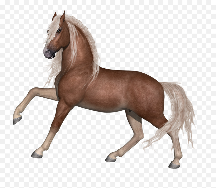Free Photo Animal Farm Stallion Equestrian Mane Horse Equine - Horse Pathfinder Emoji,Equine Emotions