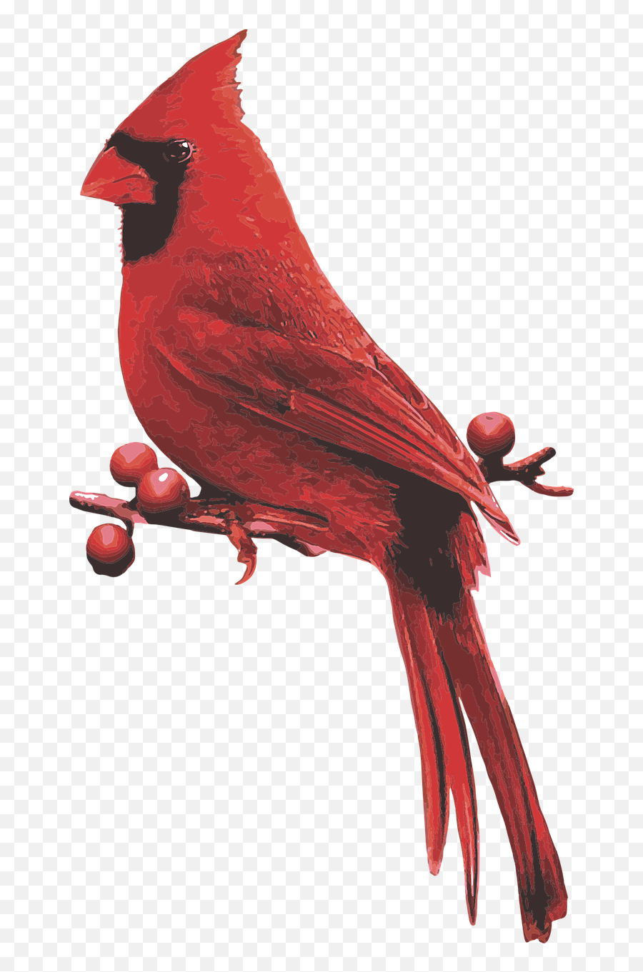 Male Cardinal Red Bird - Cardinal Welcome Emoji,Cardinal Bird Facebook Emoticon