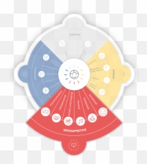 La Roue Amélio Emoji,La Roue Des Emotions A Construire