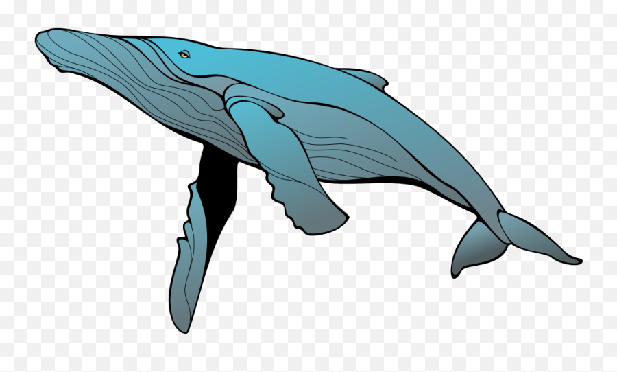 Whale Clip Art Clipartion Com - Clipartix Transparent Humpback Whale Clipart Emoji,Spouting Whale Emoji