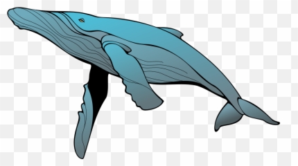 Whale Clip Art Clipartion Com - Clipartix Transparent Humpback Whale Clipart Emoji,Spouting Whale Emoji