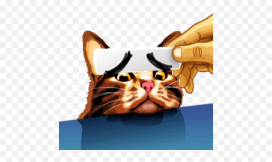 Meme Cat By Sergey Voysyat - Sticker Emoji,Cat Emoji Meme