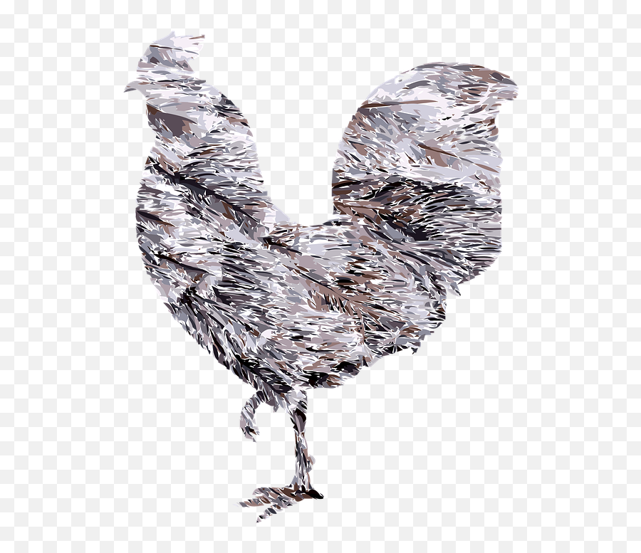 Free Photo Bird Digital Rooster Feathers Chicken Clipart - Chicken Emoji,Chicken Emotions