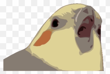 Gtsport - Shorebirds Emoji,Shadman Emoji Movie