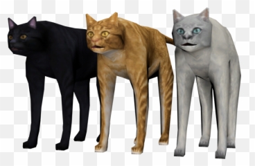 Derby The Street Dem0liti0nderby Twitter - Bayonetta Cat Emoji,Why Does Aj Use Cat Emojis