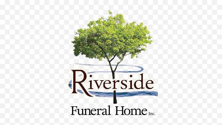 Tribute Of Barbara Ann Fritz - Png File Transparent Background Tree Png Emoji,Emojis Of Riverside