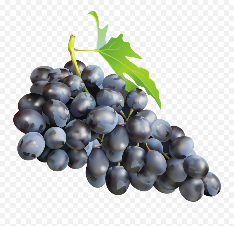 Grape Emoji Png - Transparent Background Grapes Png,Grape Emoji