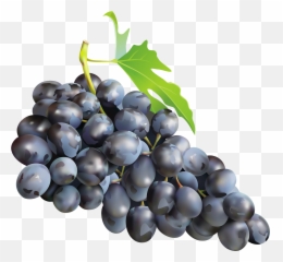 Grape Emoji Png - Transparent Background Grapes Png,Grape Emoji
