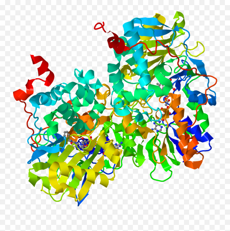 Monoamine Oxidase - Enzima Monoaminoxidase Emoji,Trust Emotion Wikipdia