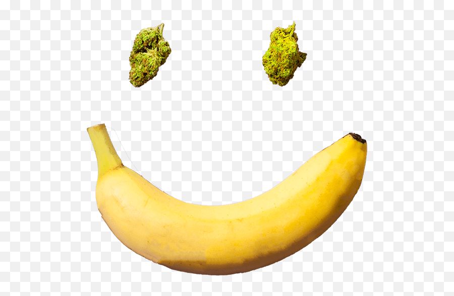 Weedfeed - For The Highly Functional Bitesized Content For Ripe Banana Emoji,Feed Banana Emojis