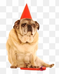 The Jackbox Party Pack 3 - Jackbox Games Jackbox Party Pack 3 Dogs Emoji,Pug Emoticons For Facebook