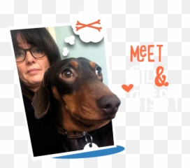 Contact U2014 - Martingale Emoji,Dog Emoji Glasses