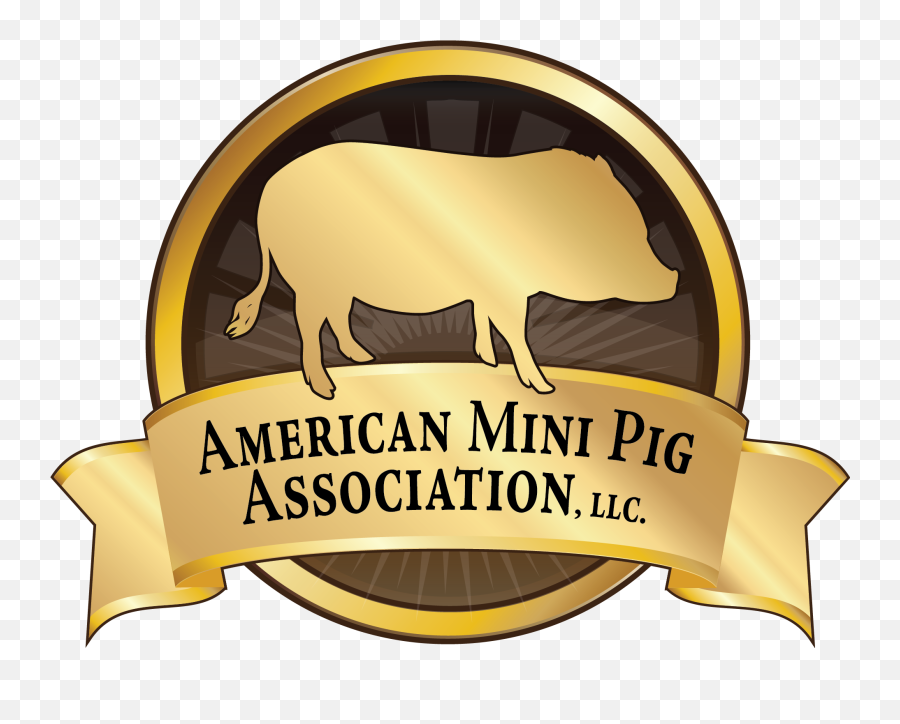 American Mini Pig Association 1st Year - Logo De Cerdito Con Olla Emoji,Raw Emotion Hereford Boar