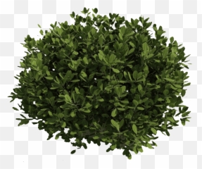 Small Bush Png Photo Png Arts Emoji,Bush Emoticon Saying Do It In Fortnite