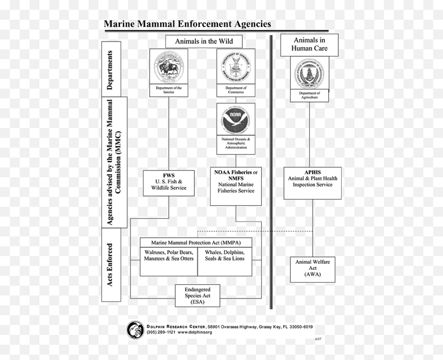 Marine Mammal Law - Dolphin Research Center Vertical Emoji,Dolphin Emotions