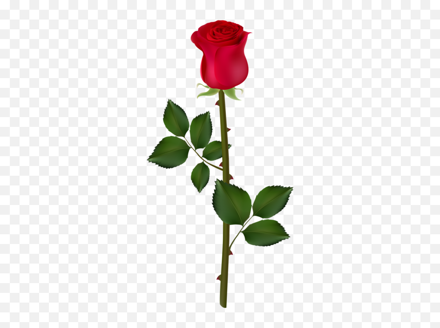 Red Rose Png Image - Picsart Rose Png Hd Emoji,Rose Emoticon For Tatto