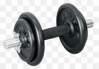 Muscle Clipart Dumbells Muscle - Transparent Background Dumbbell Transparent Emoji,Dumbell Emojis