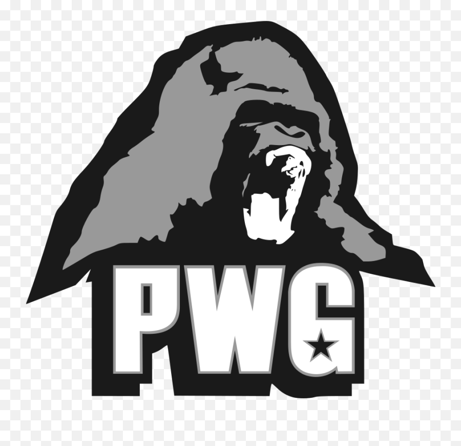 Pwg All - Star Weekend X Night One 12202013 U2013 Wrestling Pro Wrestling Guerrilla Logo Emoji,Emoticon Esquadrão Suicida