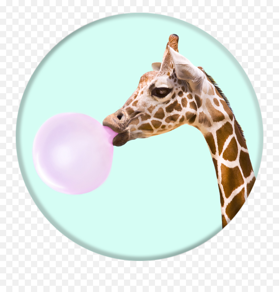 Popsockets Bubblegum Giraffe - Giraffe Bubblegum Emoji,Picture Of Giraffe Emoji