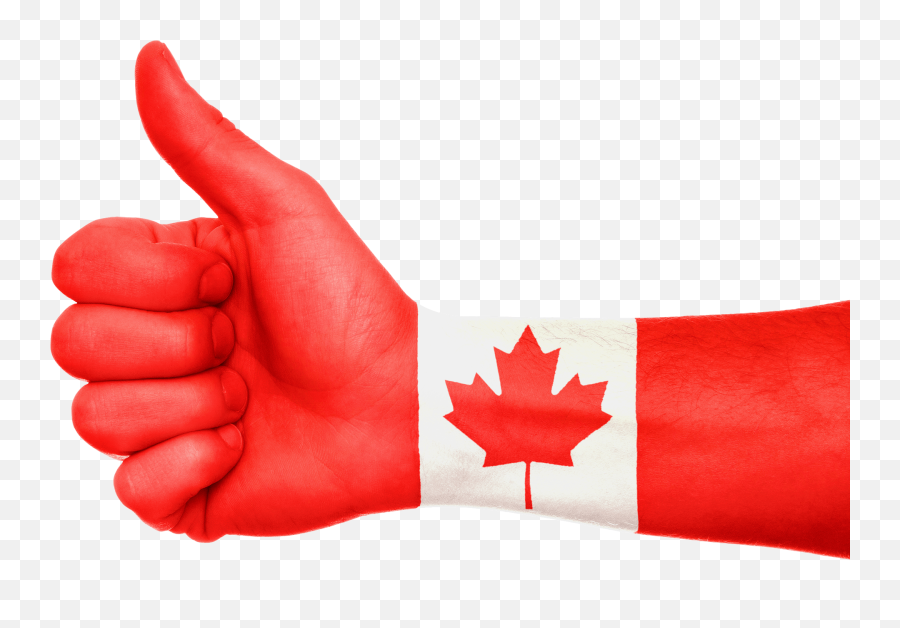 The Great Coming Together Why Im A - Canada Qualité De Vie Emoji,Justin Trudeau Skype Emoticon