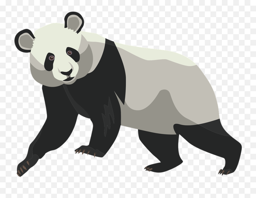 Top Mejores Dibujos De Pandas Adorables - Cómo Dibujar Un Panda Real Emoji,Dibujos Hechos Con Emojis