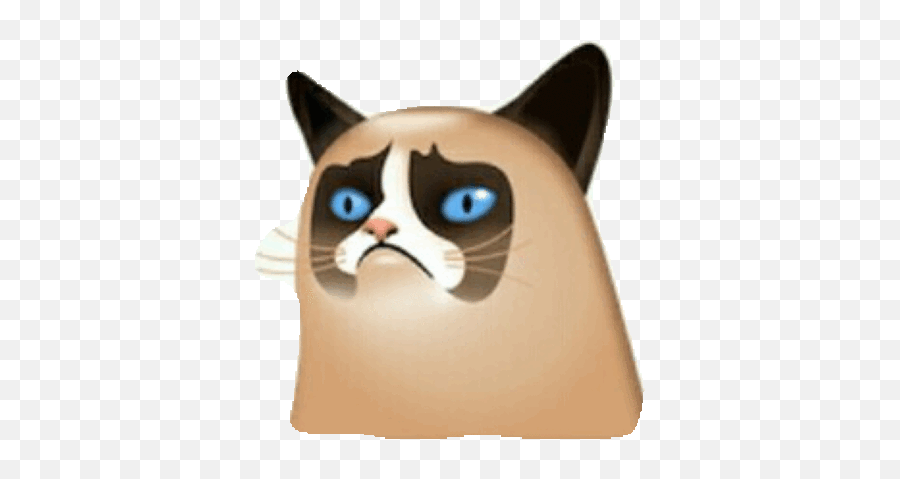 Funny Gifs Transparent Gif - Vsgifcom Grumpy Cats Animated Transparent Emoji,Dave The Cat Emojis