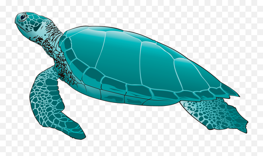 Sea Turtle Clipart - Sea Turtle Clipart Emoji,Sea Turtle Emoji