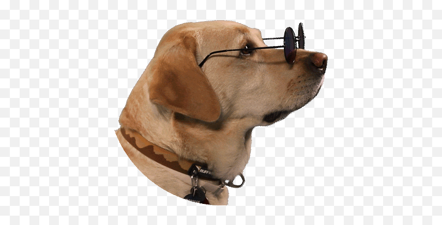 Emoji Meme Gifs Search Find Make Share Gfycat Doge Meme - Lowgif Doge Gif Transparent Background,Doge Emoji