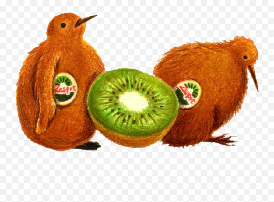 To - Soft Emoji,Kiwi Bird Emoji