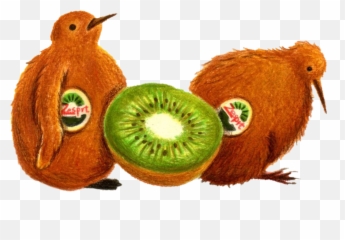 To - Soft Emoji,Kiwi Bird Emoji